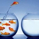 Overcoming Fear as an Entrepreneur