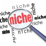 Niche Sites: Grow Your Online Business
