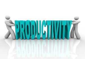 Productivity Challenge 2015
