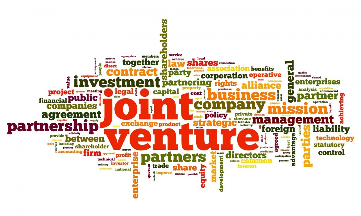 shared venture definition